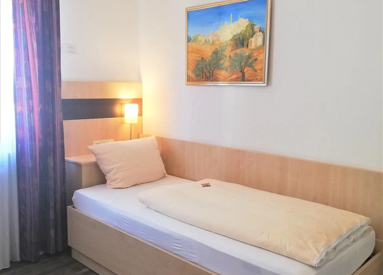 Hotel Central Heidelberg 3*,